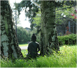 meditation psychotherapy